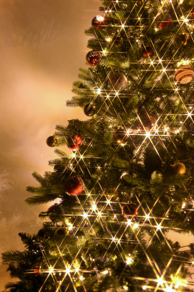 クリスマスツリーの一部